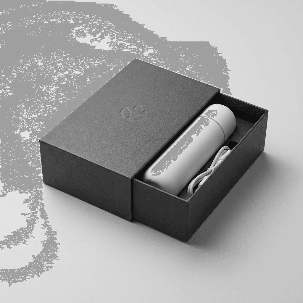 An intimate item shown in its retail packaging