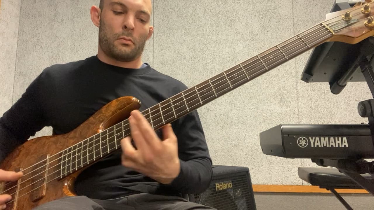 Mastering the Bass: Beginner to Pro Guide