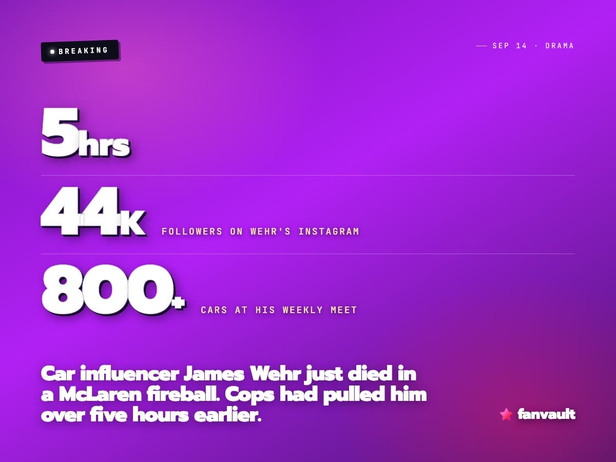 Car influencer James Wehr just died in a McLaren fireball. Cops had pulled him over five hours earlier.